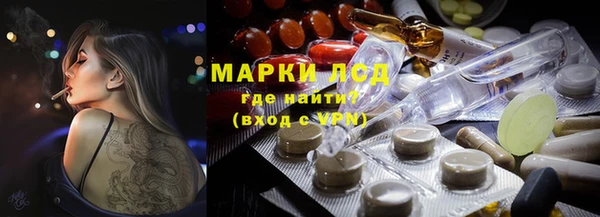 гидропоника Алзамай