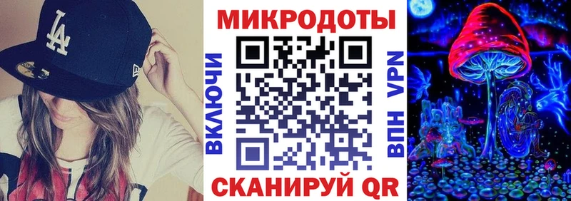 mega ONION  Муравленко  Псилоцибиновые грибы Psilocybe 